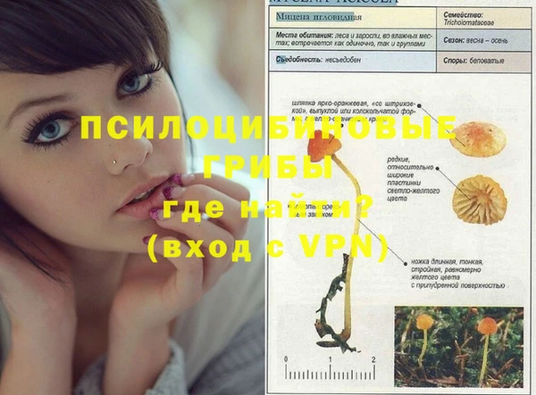 a pvp Балахна