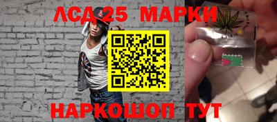 прущие грибы Вязьма