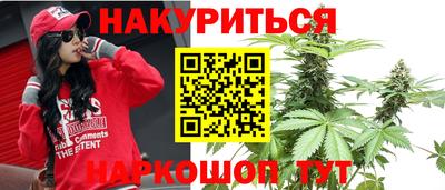 прущие грибы Вязьма