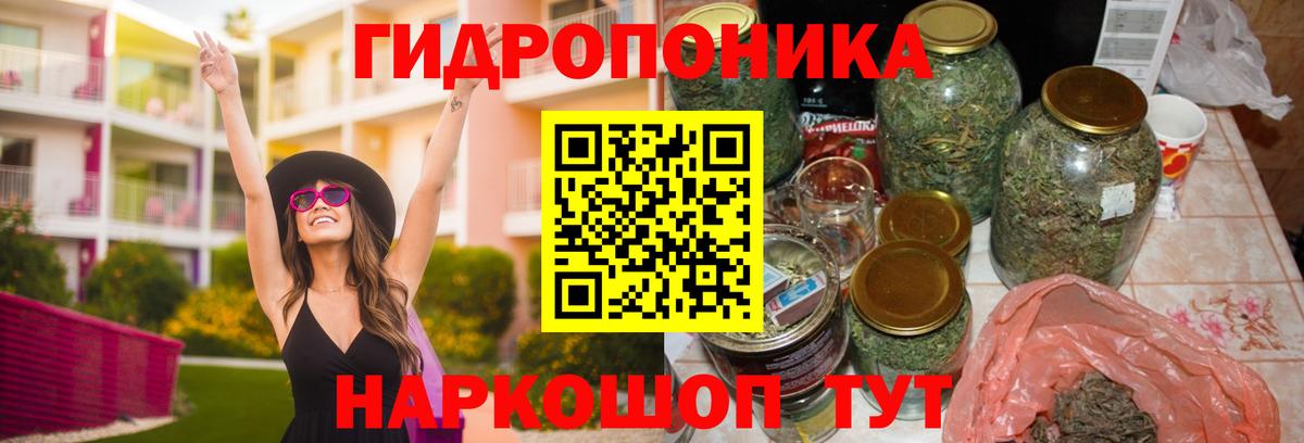 Шишки марихуана гибрид Саки